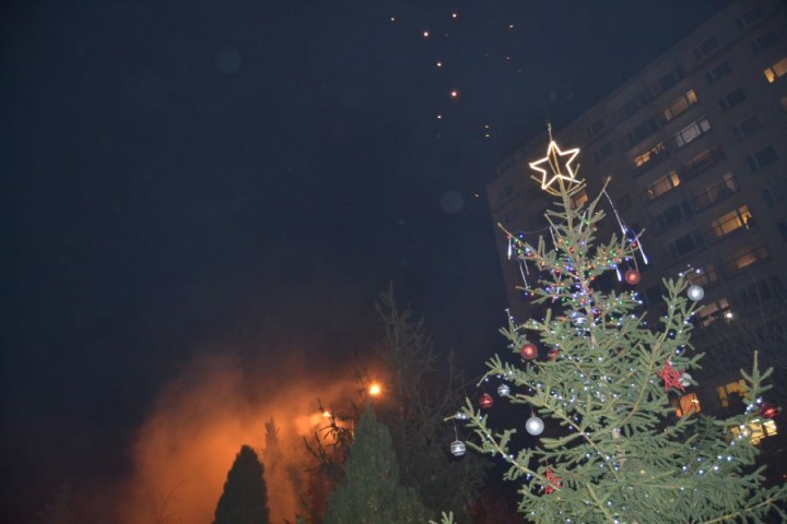 Rozsvícení vánočního stromu v DS Orlická