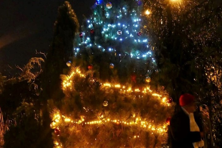 Rozsvěcení vánočního stromu v DS Orlická