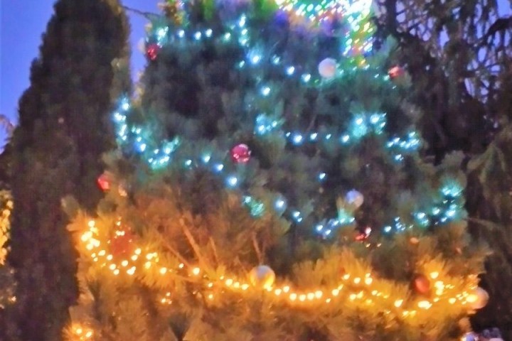 Rozsvícení vánočního stromu v DS Orlická