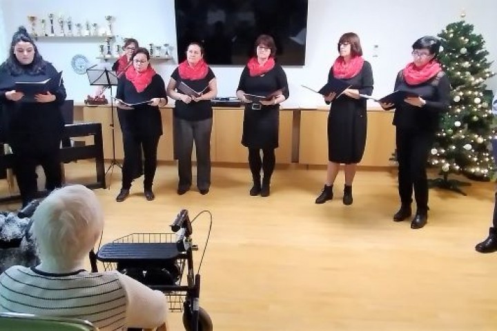 Hudební a pěvecké vystoupení - pěvecký sbor Lindušky