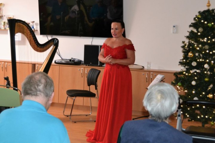 Vánoční, hudební vystoupení harfistky paní Katariny Ševčíkové